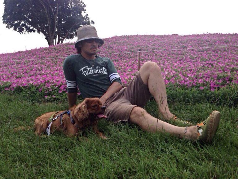 犬の熱中症後の後遺症で怖い「腎不全」について考えてみた