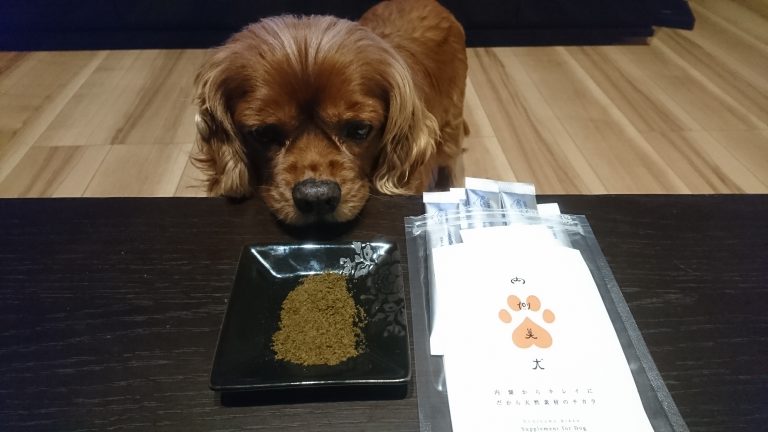 『内側美犬』とは・・・?!アレルギー犬用サプリを購入しました