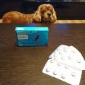 犬用関節炎鎮痛剤オンシオール