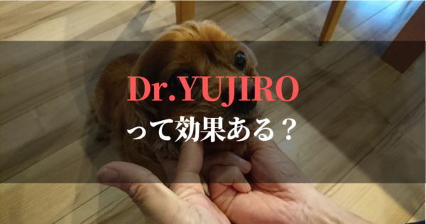 Dr.YUJIROきかない？