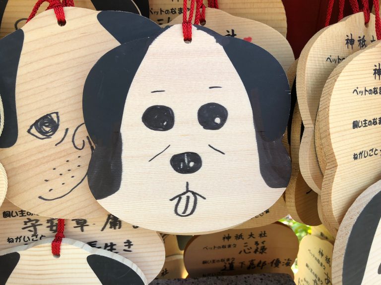 犬と一緒にお参りできる神社『神祇大社』で参拝~伊豆旅行②~