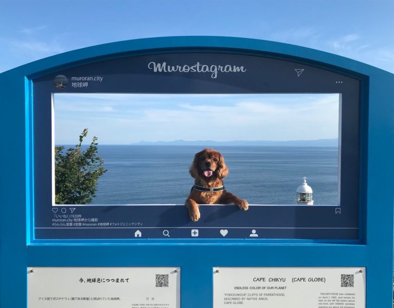 愛犬コジロウと行く!北海道旅行最後の日【ニセコ→登別→室蘭→苫小牧】