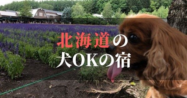北海道のおすすめ犬と泊まれる宿