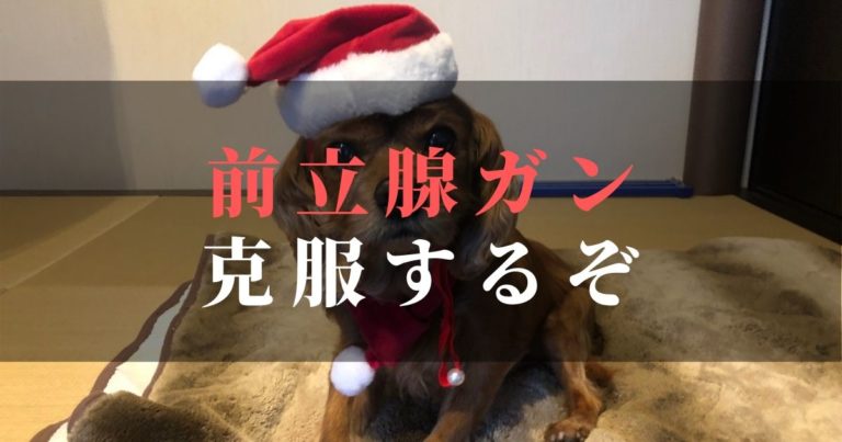 【日々更新】前立腺ガン発覚から手術~克服への軌跡-愛犬コジロウの奮闘日記-