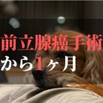 愛犬コジロウ前立腺癌摘出手術から1ヶ月【克服の章】