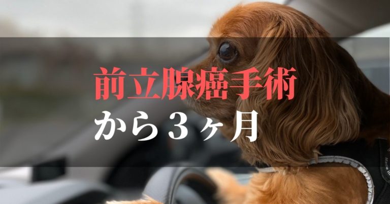 愛犬コジロウ | 前立腺癌摘出手術から3ヶ月:日々更新しています【克服の章】