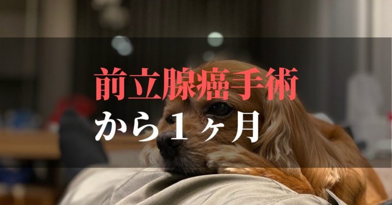 愛犬コジロウ | 前立腺癌摘出手術から1ヶ月:日々更新しています【克服の章】