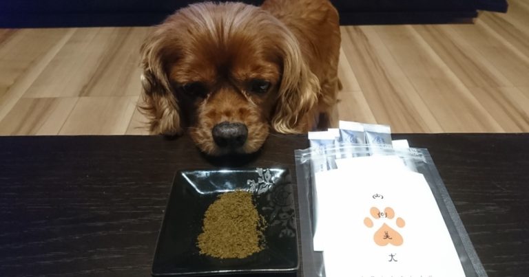 内側美犬は口コミどおり効果があるのか実際に買ってみた【体験談】