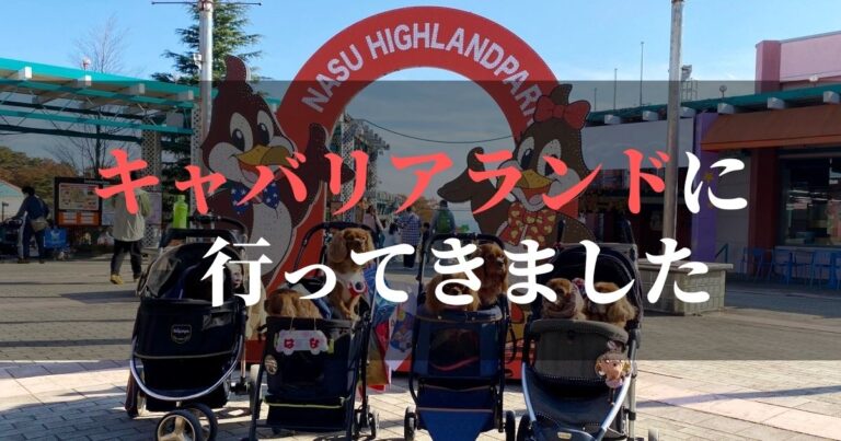 キャバリアランド2021行ってきました!!【那須ハイランドパークに再び降臨】
