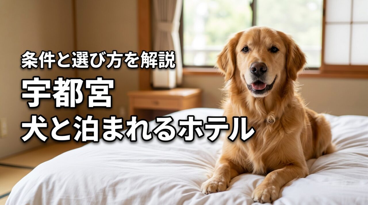 宇都宮で犬と泊まれるホテルおすすめまとめ！ペット可の条件や選び方も解説