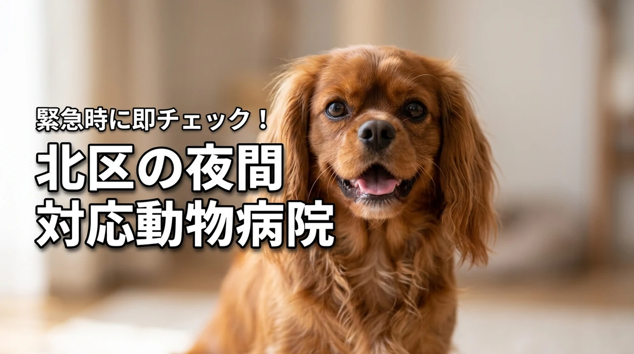 【東京都北区】動物病院で夜間もOK！即行動できるよう要チェック！