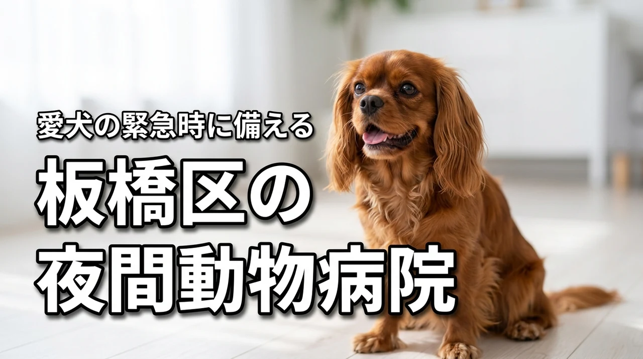 【東京都板橋区】夜間対応の動物病院はココ！愛犬の緊急時に備えておさえておくべし！