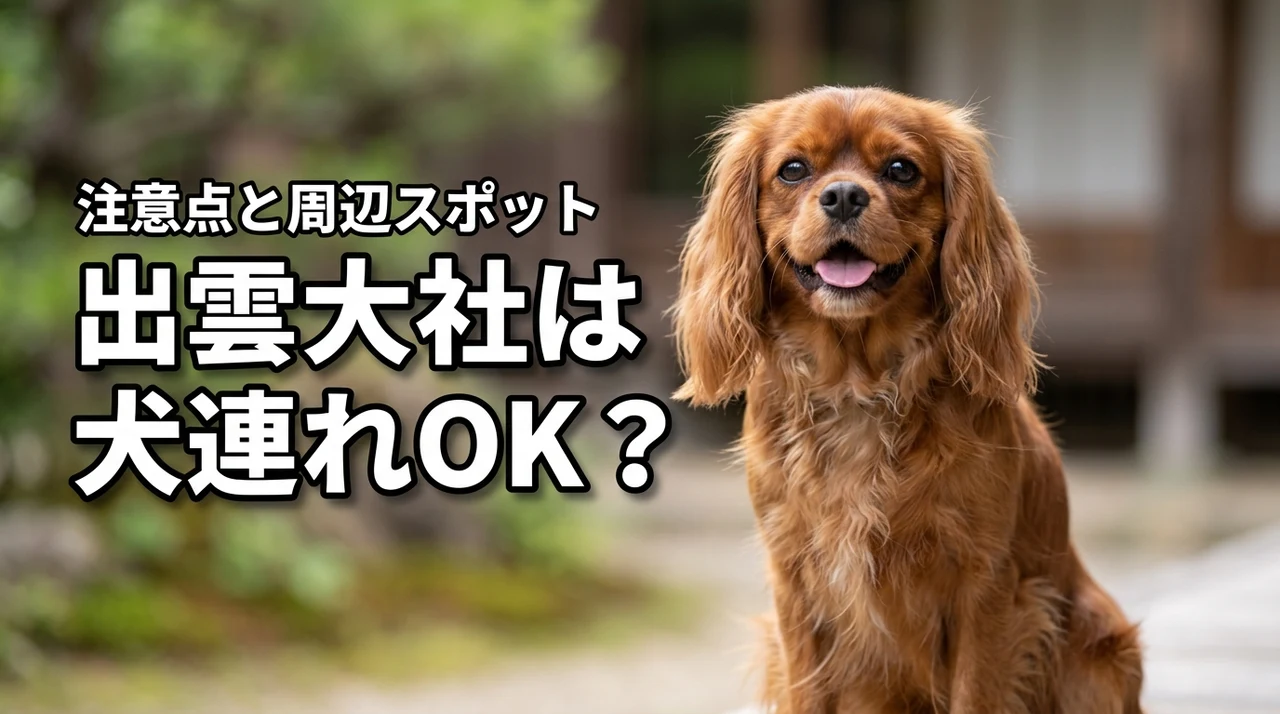 【出雲大社】犬連れで参拝できる？注意点や周辺の犬連れスポットも解説