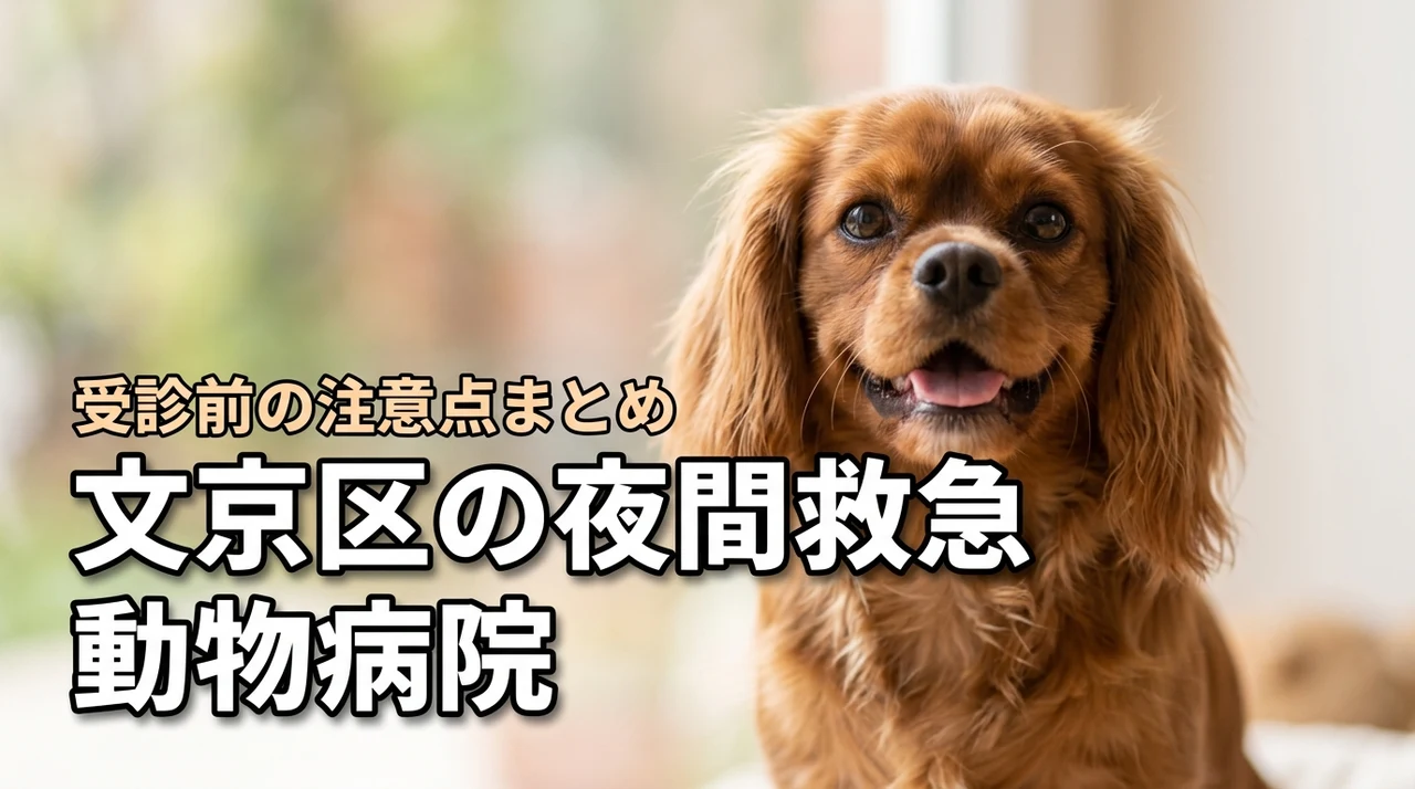 【東京都文京区】の動物病院で救急夜間対応はココ！受診前の注意点も解説！