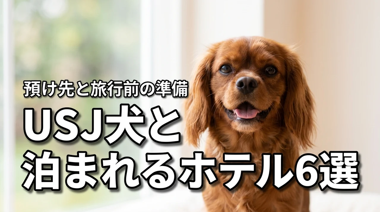 usj近くで犬と泊まれるホテル6選！愛犬の預け先や旅行前の準備も紹介（記事のアイキャッチ画像）